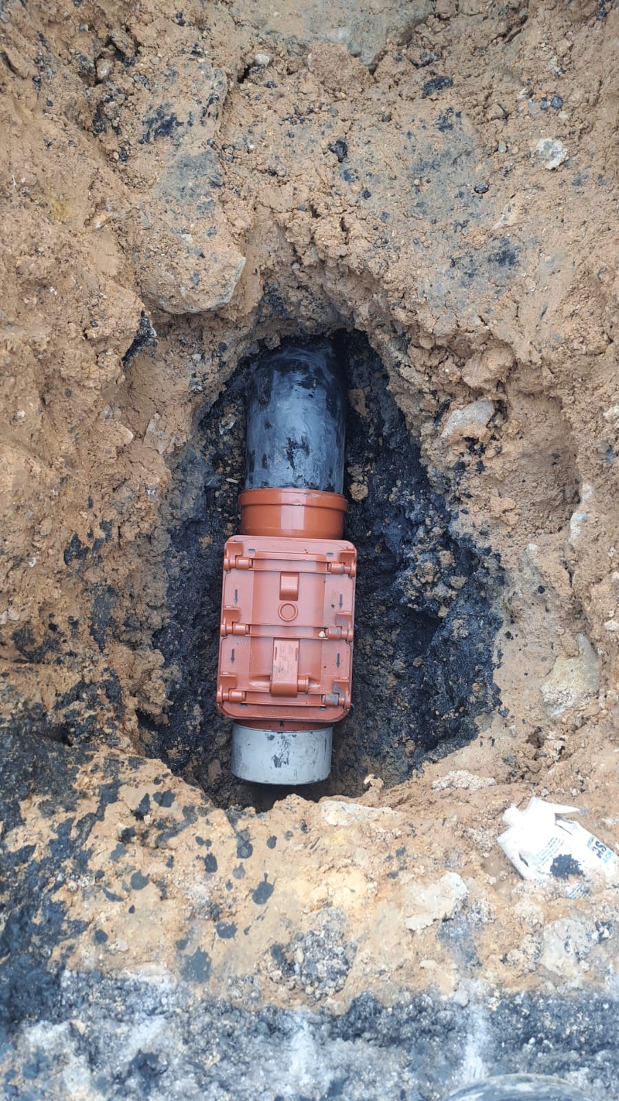 WhatsApp Image 2026-02-19 at 7.23.51 AM