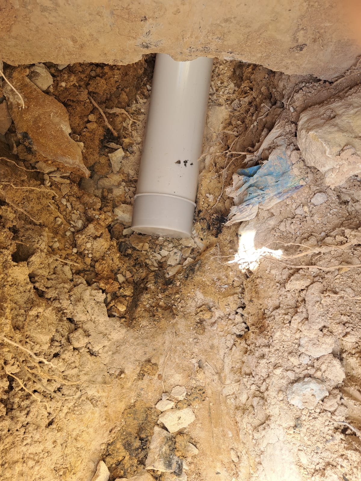 WhatsApp Image 2026-02-19 at 7.23.54 AM