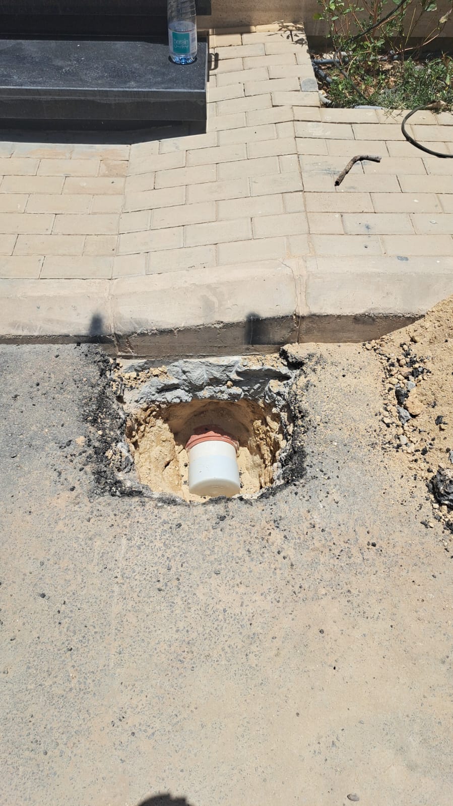 WhatsApp Image 2026-02-19 at 7.23.55 AM