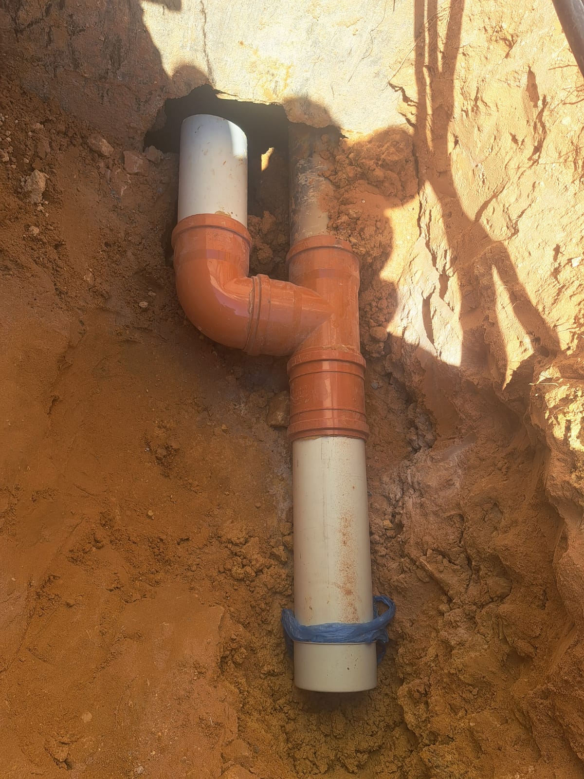 WhatsApp Image 2026-02-19 at 7.23.58 AM